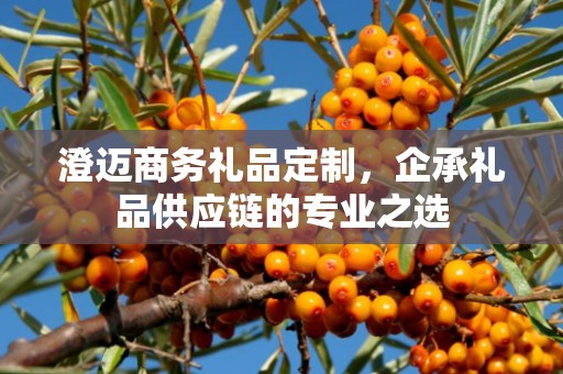 澄迈商务礼品定制，企承礼品供应链您身边的专业礼品定制公司