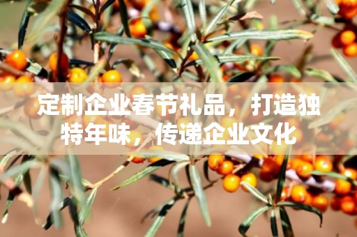 定制企业春节礼品，打造独特年味，传递企业文化